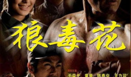 电视剧狼毒花,烽火岁月里的英雄传奇