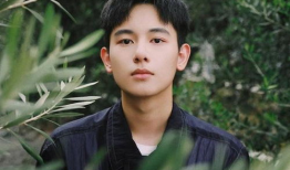 胡先煦电视剧,青春成长路上的璀璨星光