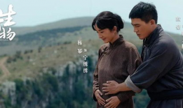 最热电视剧,揭秘中国刑侦界的巅峰对决